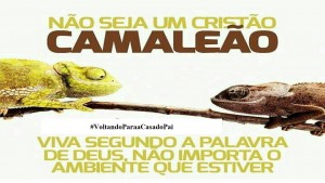 camaleao